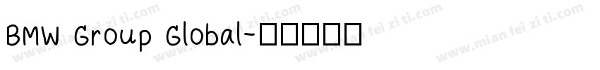 BMW Group Global字体转换
